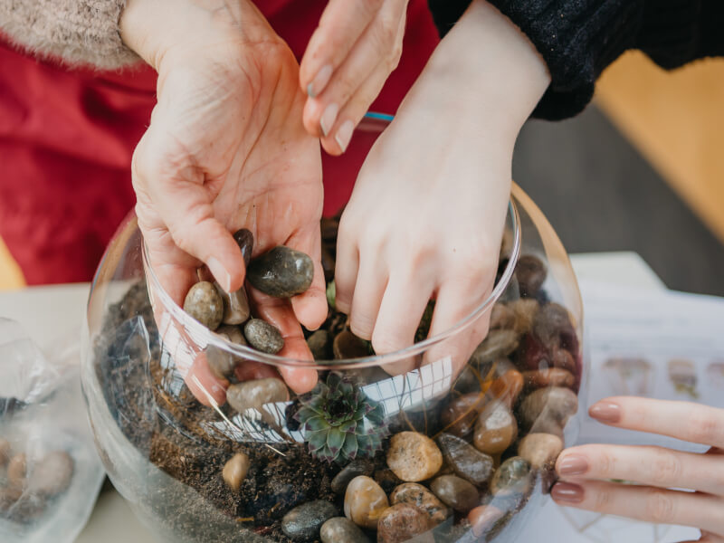 A mother and daughter's hands placing smooth brown stones into a terrarium